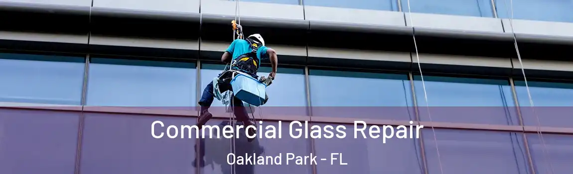 Commercial Glass Repair Oakland Park - FL