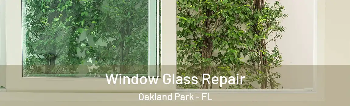  Window Glass Repair Oakland Park - FL